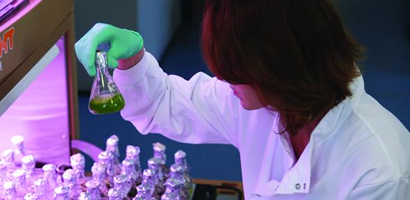 Image of person holding a scientific flask